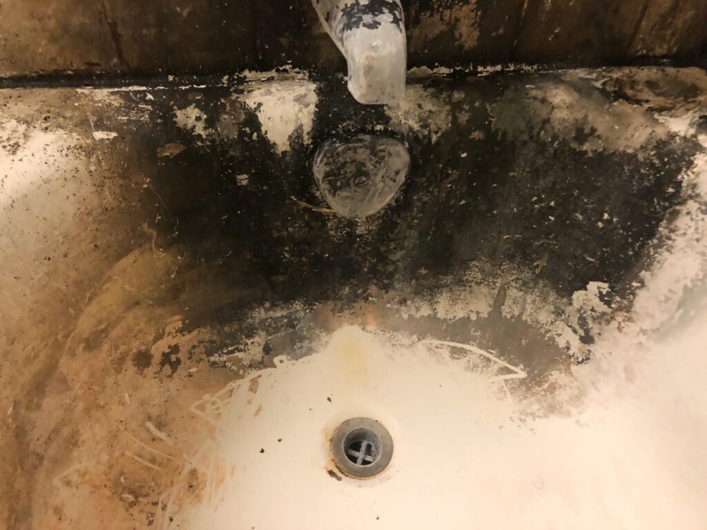 What Causes Black Mold Under Sink, Signs Of Mold Toxicity & How To Clean